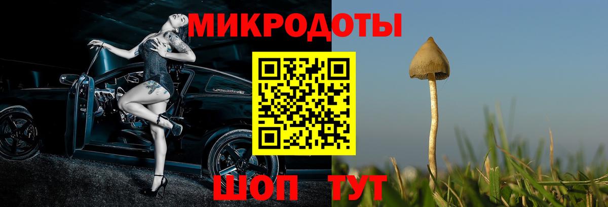 Галлюциногенные грибы Psilocybe  Вход с VPN  Псилоцибиновые грибы прущие грибы  Горячий Ключ 